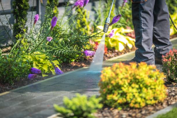 Best Residential Pressure Washing in Holmen, WI